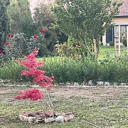 Villa Les Terrasses *