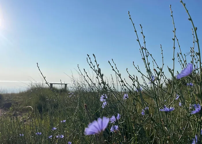 Вилла Les Terrasses