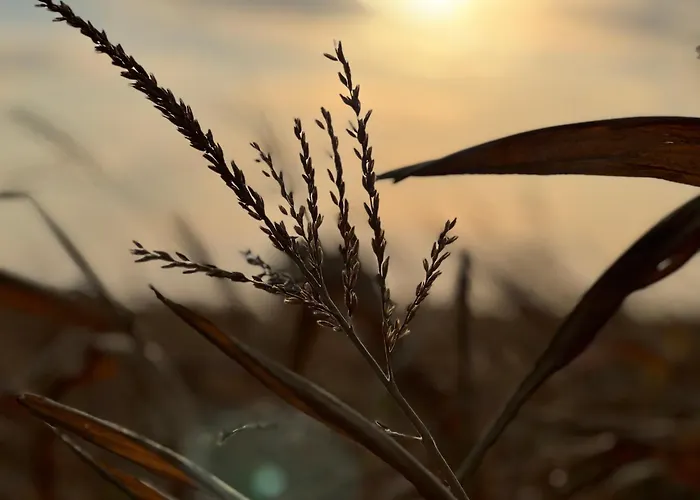 Les Terrasses Вилла