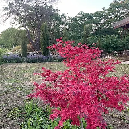 Les Terrasses Ezerets