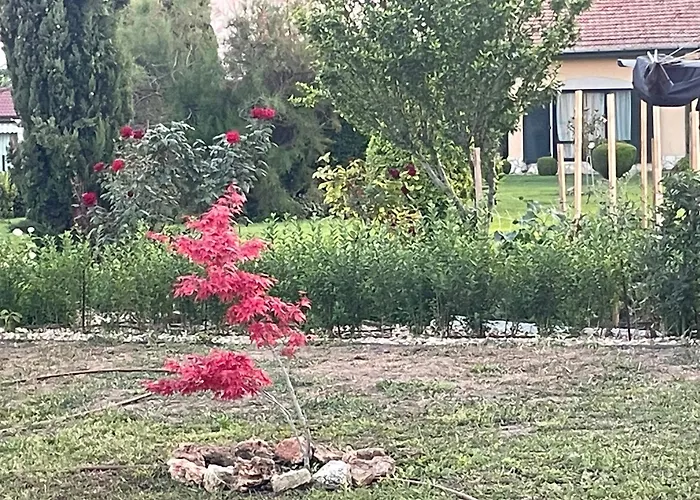 فيلة Les Terrasses *